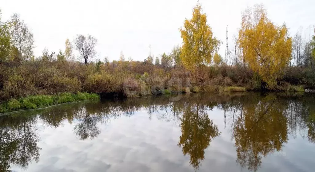 Дом в Тюменская область, Тюмень Осень-1 ТСН, ул. 18-я Дачная (41 м) - Фото 2