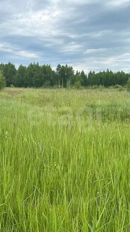 Участок в Костромская область, Нерехта ул. Кутузова, 28 (7.94 сот.) - Фото 1