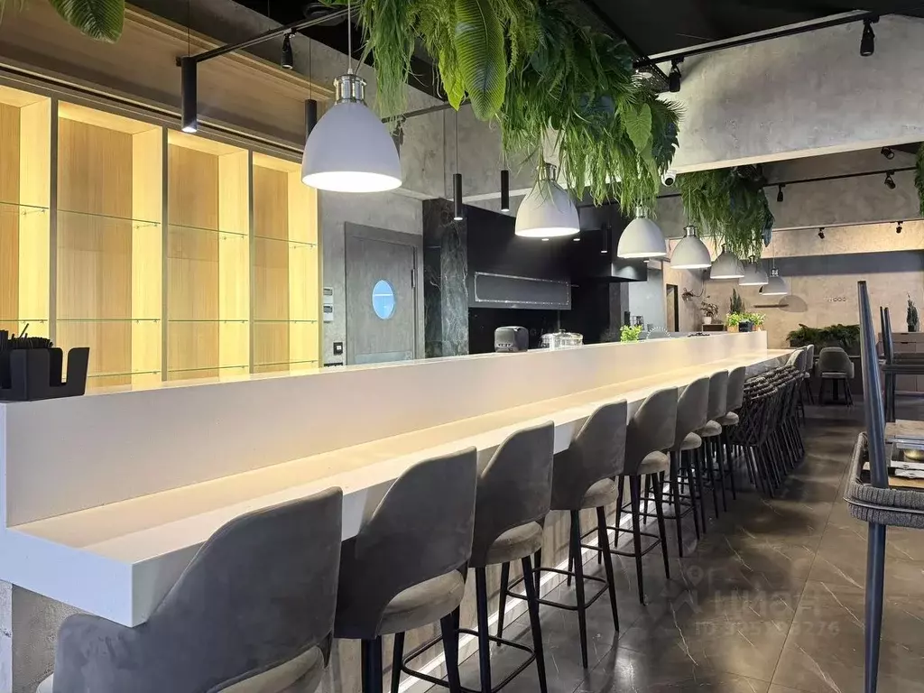 Помещение свободного назначения в Краснодарский край, Сочи Центральный ... - Фото 1