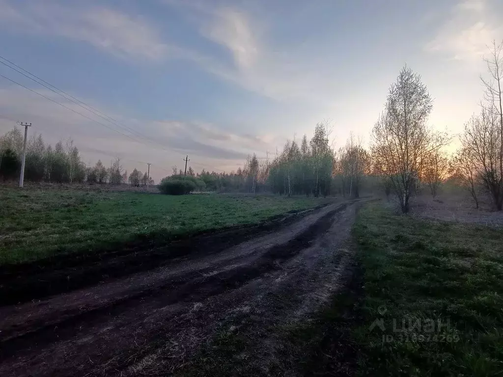 Участок в Орловская область, Орловский район, пос. Горки ул. ... - Фото 1