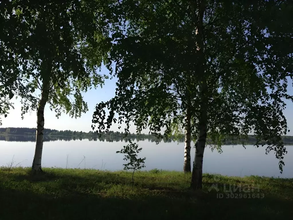 Участок в Ярославская область, Некрасовское рп ул. Советская (23.0 ... - Фото 1