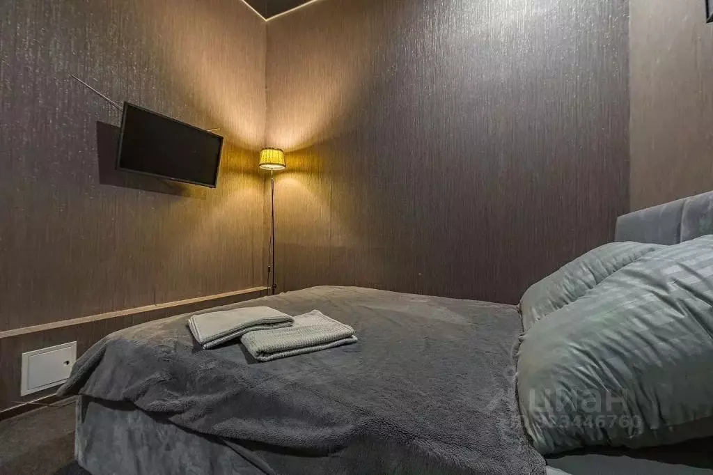 1-к кв. Нижегородская область, Нижний Новгород ул. Печерский Съезд, ... - Фото 2