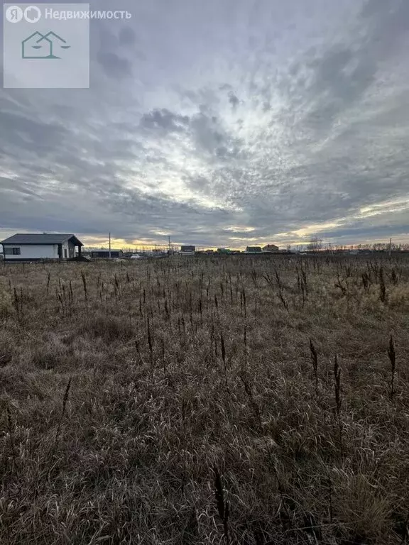 Участок в Воронежская область, село Новая Усмань (10 м) - Фото 0