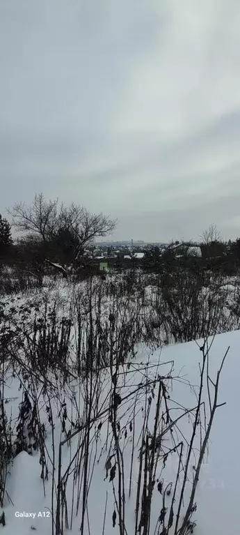 Участок в Орловская область, Орловский муниципальный округ, д. ... - Фото 1