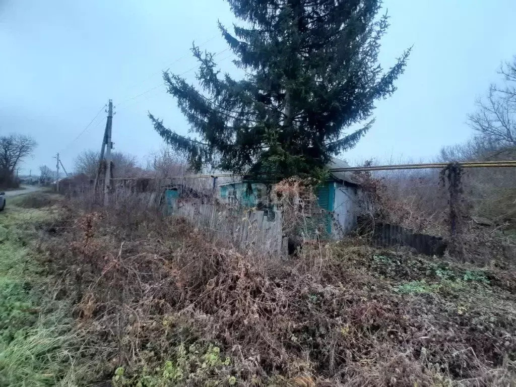 Дом в Белгородская область, Волоконовский район, Ютановское с/пос, ... - Фото 0