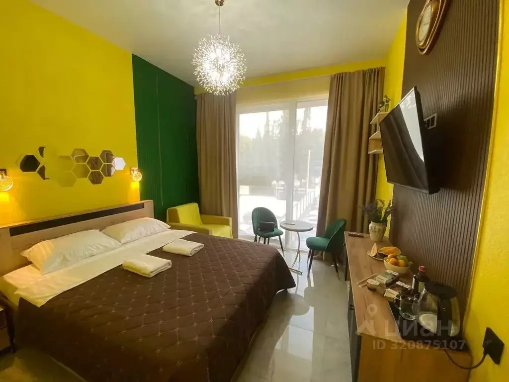 Студия Краснодарский край, Сочи ул. Ленина, 219 (25.0 м) - Фото 1