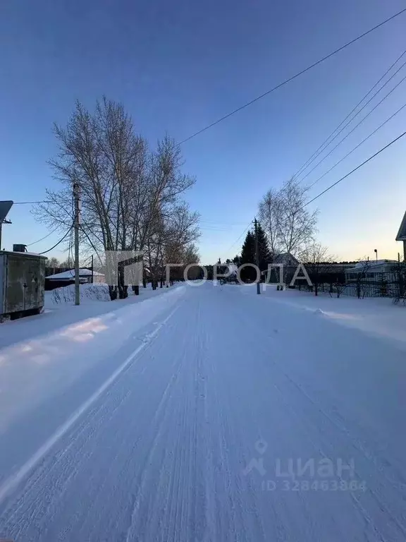 Дом в Алтайский край, Барнаул городской округ, пос. Лесной ул. ... - Фото 1