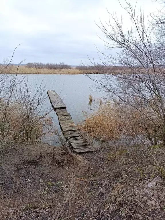Участок в Ростовская область, Семикаракорский район, Кузнецовка хут. ... - Фото 2