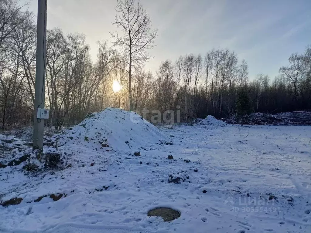 Участок в Новосибирская область, Новосибирский район, Станционный ... - Фото 0