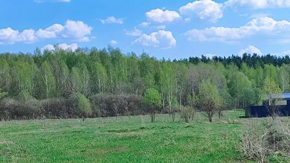 Участок в Московская область, Раменский муниципальный округ, д. ... - Фото 1