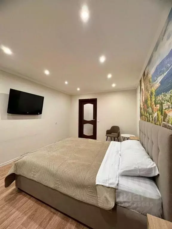 1-к кв. Амурская область, Благовещенск Игнатьевское ш., 14/11 (42.0 м) - Фото 2