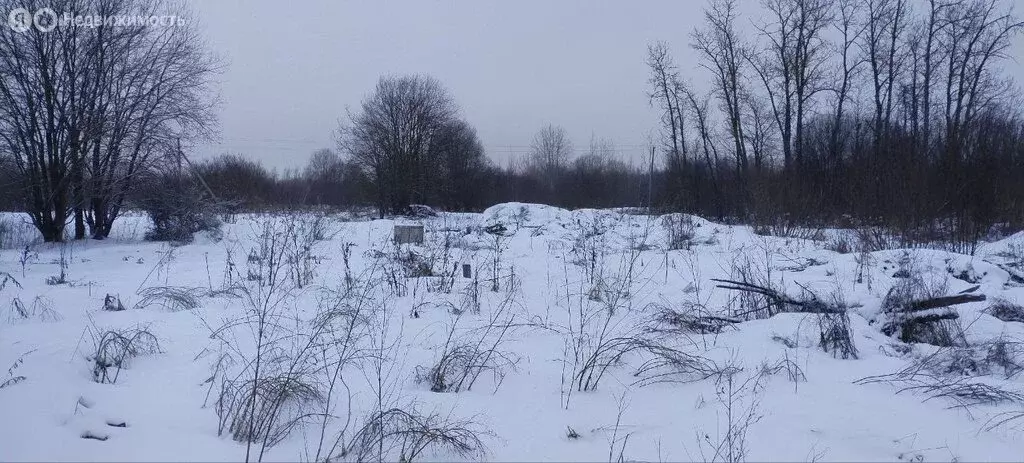 Участок в Вологодская область, Череповецкий муниципальный округ, ... - Фото 2