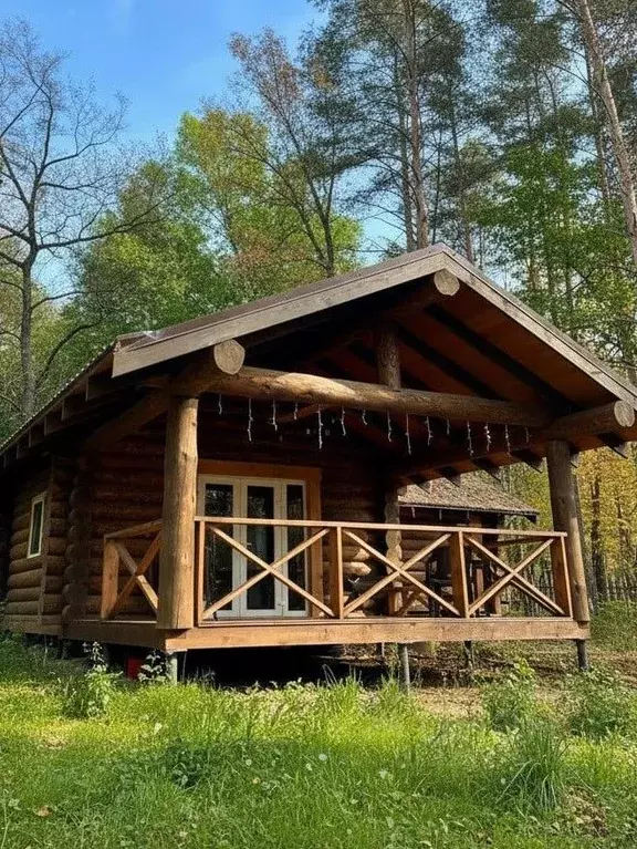 Дом в Нижегородская область, Нижний Новгород ул. Минина (50 м) - Фото 2