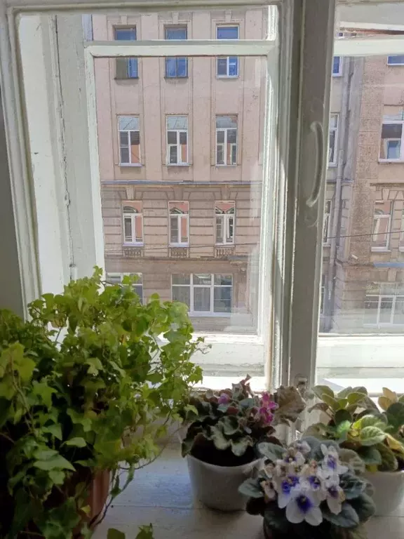 Комната Санкт-Петербург Большая Пушкарская ул., 30 (15.8 м) - Фото 0