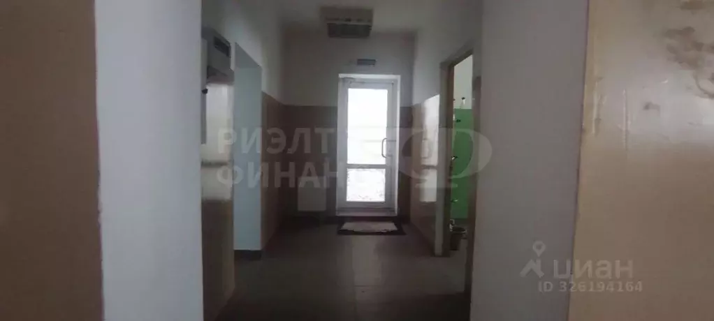 Помещение свободного назначения в Калининградская область, Светлый ул. ... - Фото 1