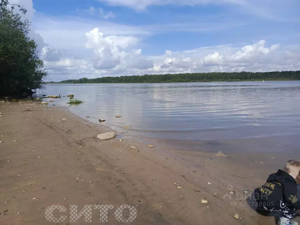 Участок в Вологодская область, Череповецкий район, д. Ульяново  (8.0 ... - Фото 2