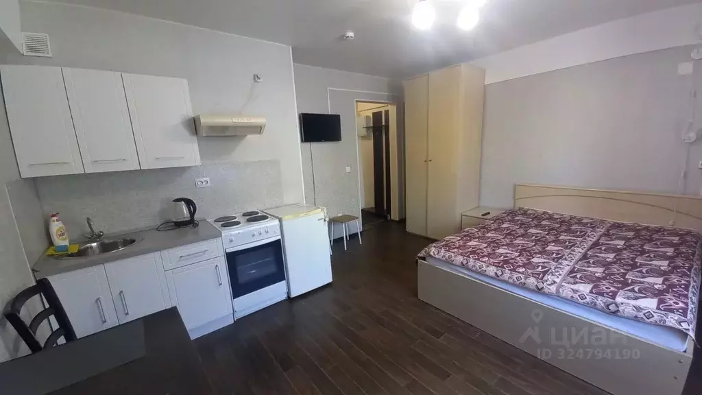 1-к кв. Иркутская область, Иркутск Байкальская ул., 253Б (30.0 м) - Фото 1