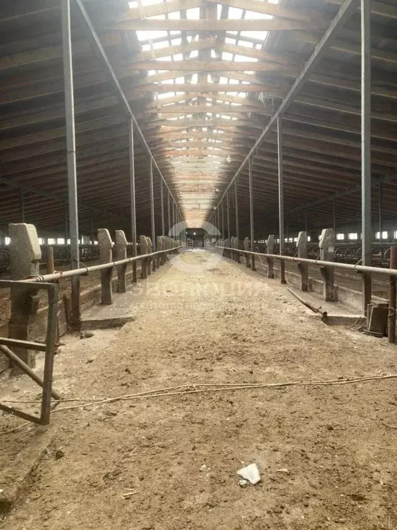 Участок в Ставропольский край, Шпаковский муниципальный округ, ... - Фото 1