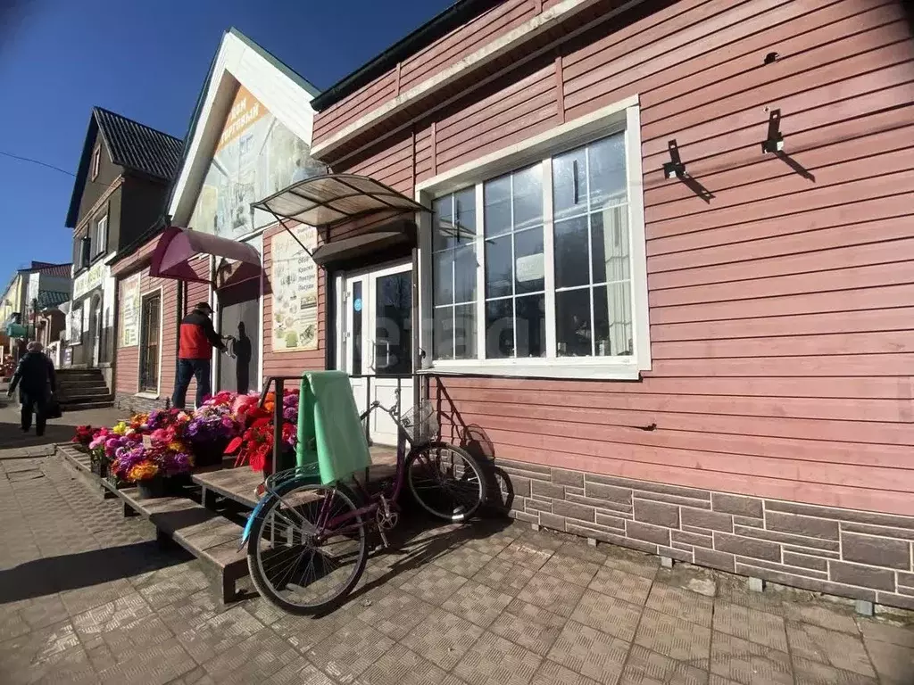 Торговая площадь в Смоленская область, Демидов Советская ул., 11 (298 ... - Фото 1