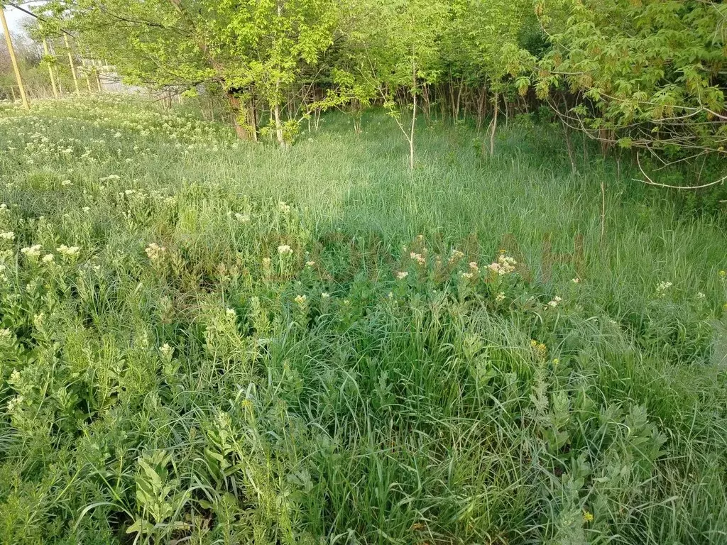 Участок в Ростовская область, Октябрьский район, Красюковское с/пос, ... - Фото 2