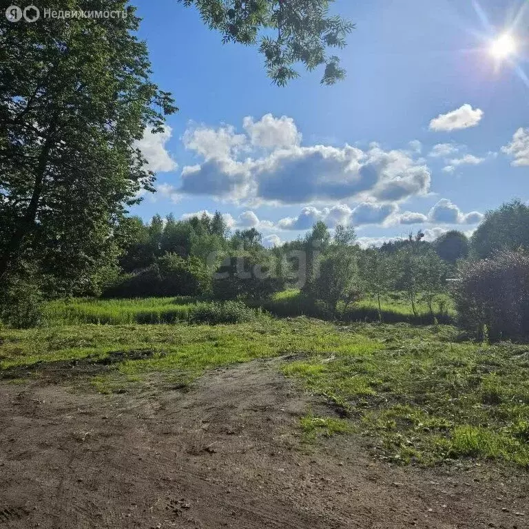 Участок в Калининград, улица Тенистая Аллея (4.4 м) - Фото 2