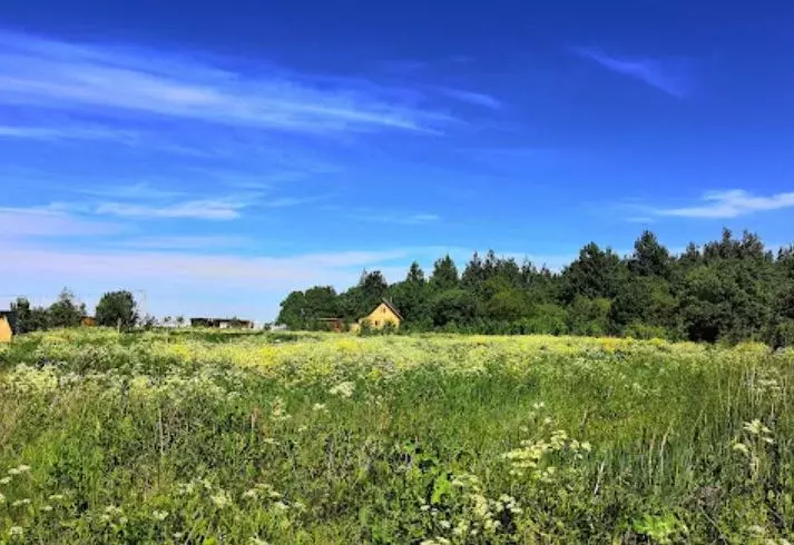 Участок в Кемеровская область, Кемеровский муниципальный округ, с. ... - Фото 1