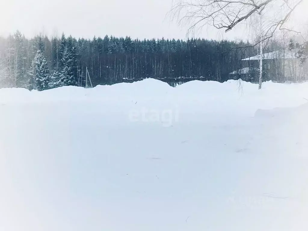 Участок в Калужская область, Калуга Секиотовская ул. (6.0 сот.) - Фото 2