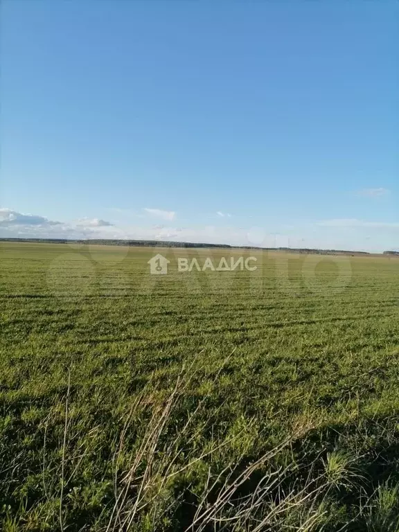 Участок В Авдотьино Иваново Купить