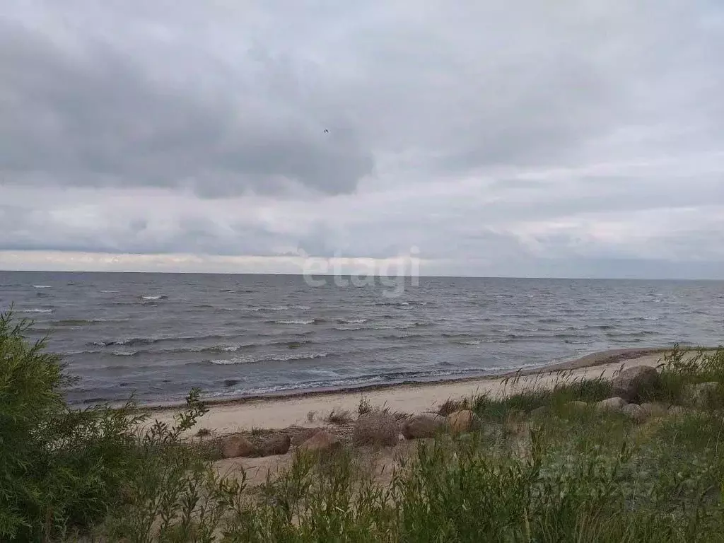 Участок в Псковская область, Гдов ул. Никитина (1786.3 сот.) - Фото 1