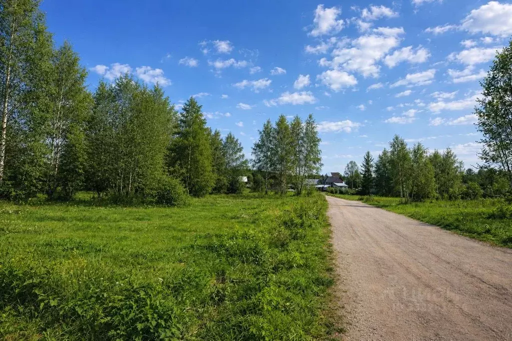 Участок в Московская область, Солнечногорск городской округ, д. Покров ... - Фото 2