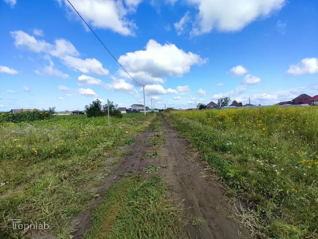 Участок в Брянская область, Брянский район, Добрунское с/пос, д. ... - Фото 2