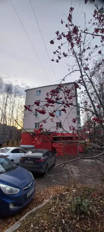 2-к кв. Мордовия, Саранск просп. 60 лет Октября, 113 (40.3 м) - Фото 1