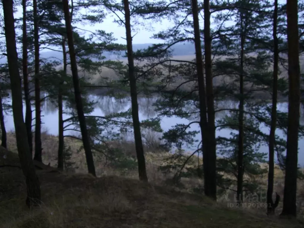 Коттедж в Московская область, Одинцовский городской округ, с. Луцино, ... - Фото 2