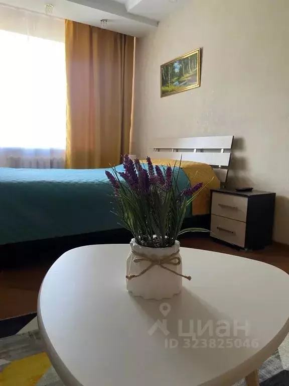 1-к кв. Марий Эл, Йошкар-Ола ул. Васильева, 6В (34.0 м) - Фото 2