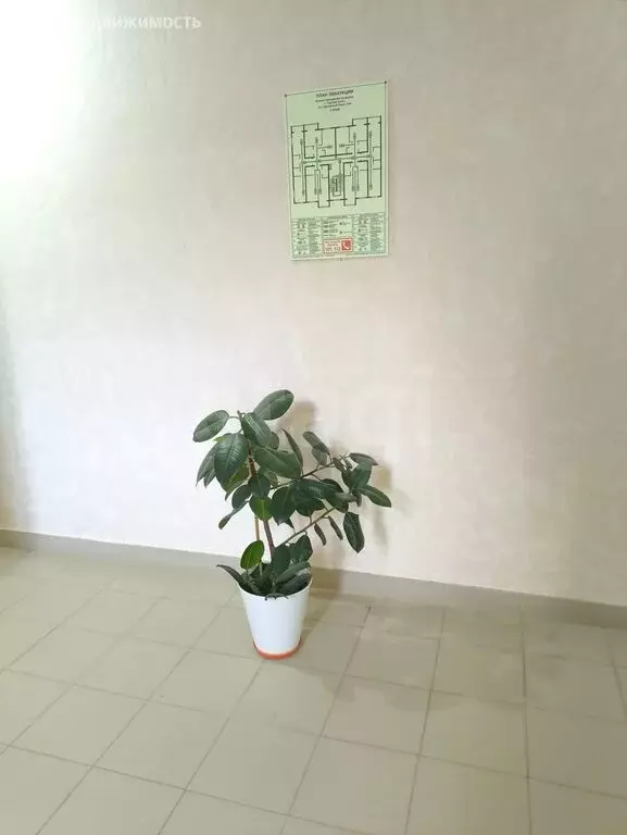 1-комнатная квартира: Горячий Ключ, улица Солнечный Берег, 10Ак1 (40.3 ... - Фото 1