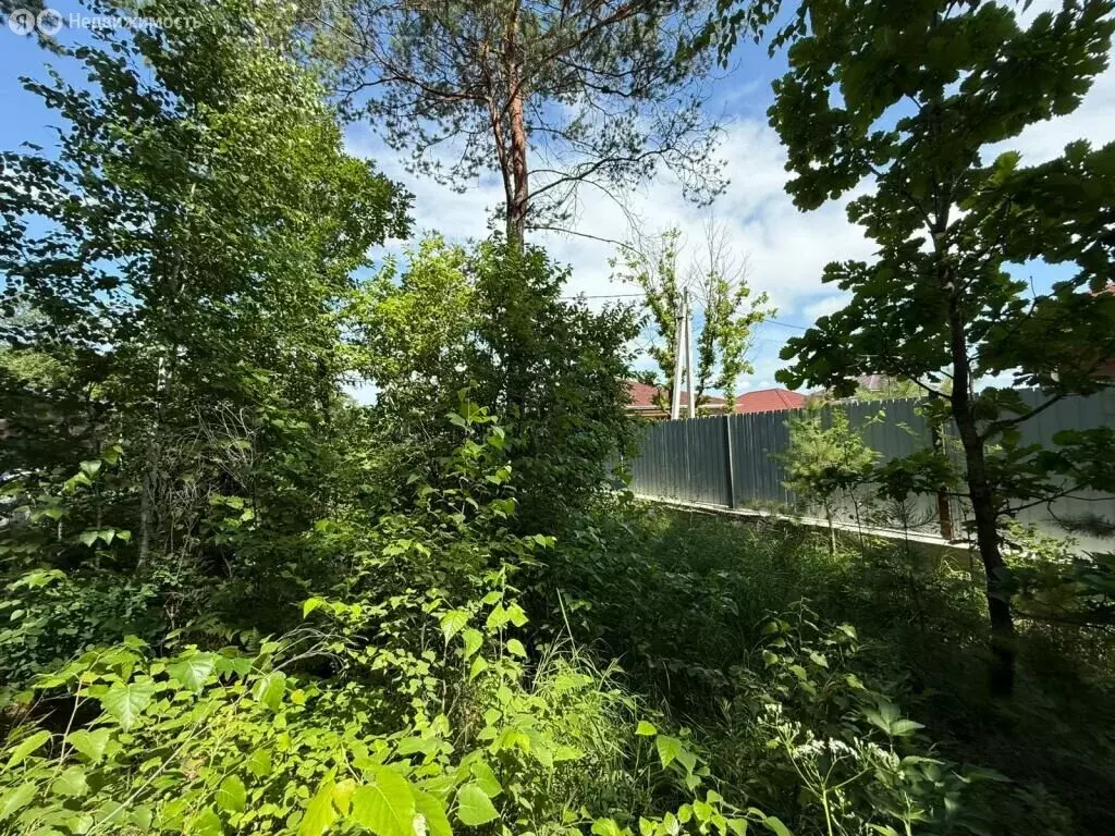 Участок в Чигири, Хвойная улица (15 м) - Фото 1