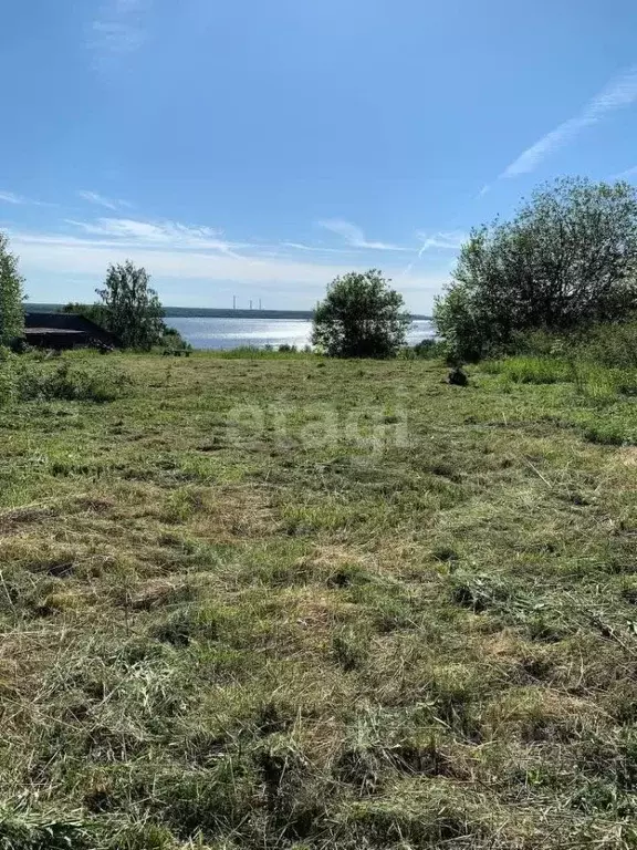 Участок в Костромская область, Красносельский район, Подольское с/пос, ... - Фото 1