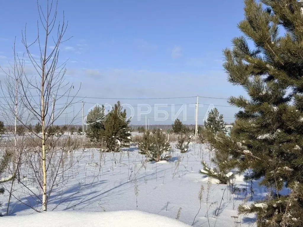 Участок в Тюменская область, Тюменский муниципальный округ, д. Елань ... - Фото 2