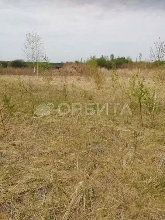 Участок в Тюменская область, Нижнетавдинский район, Душевное садовое ... - Фото 0