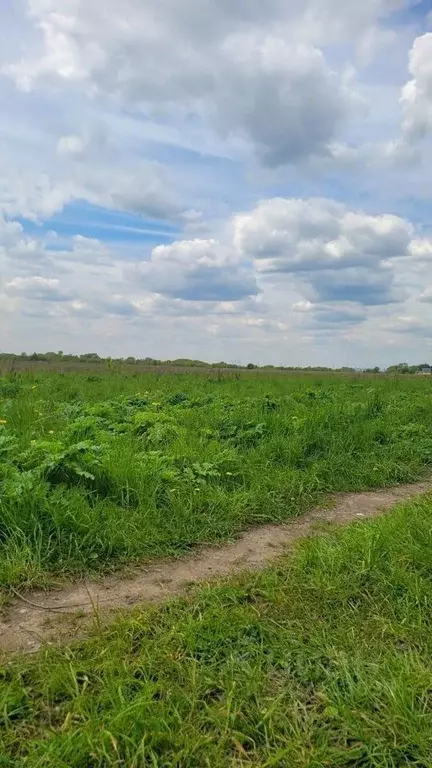 участок в московская область, раменский городской округ, д. рыбаки ул. . - Фото 1