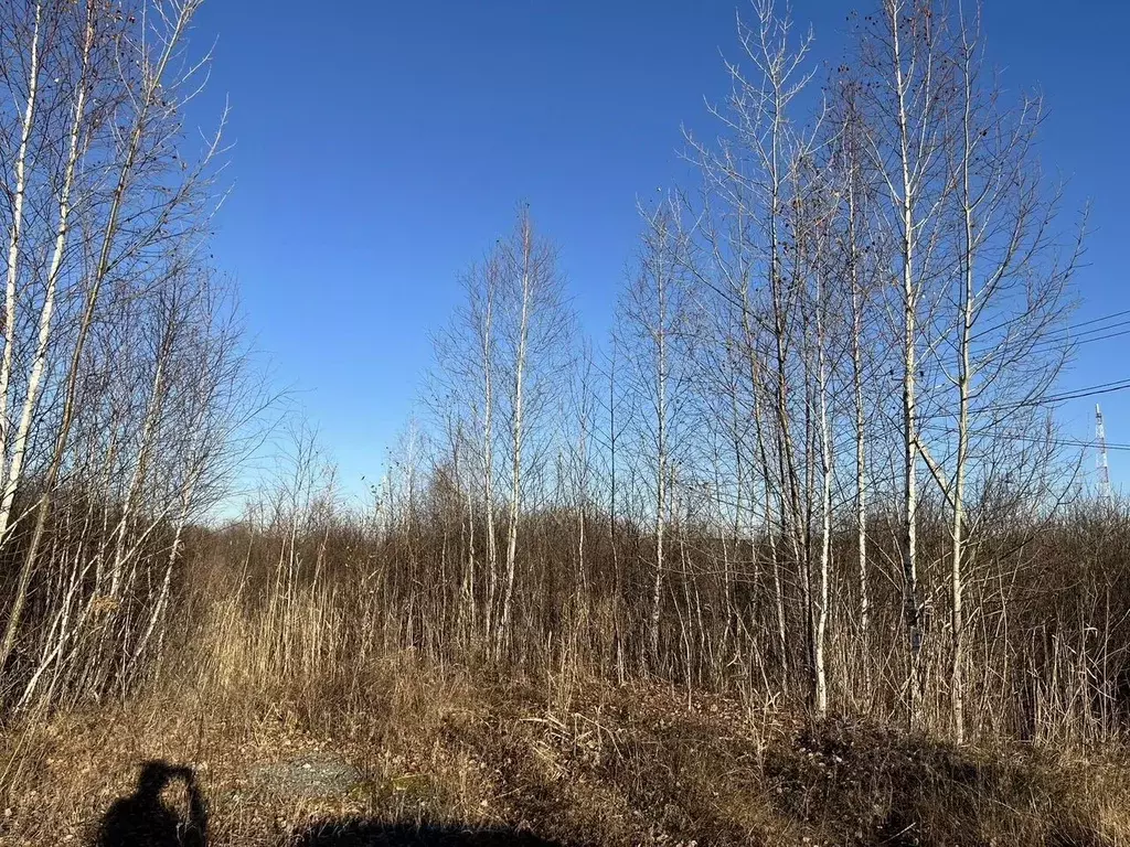 Участок в Тюменская область, с. Ярково  (11.0 сот.) - Фото 2