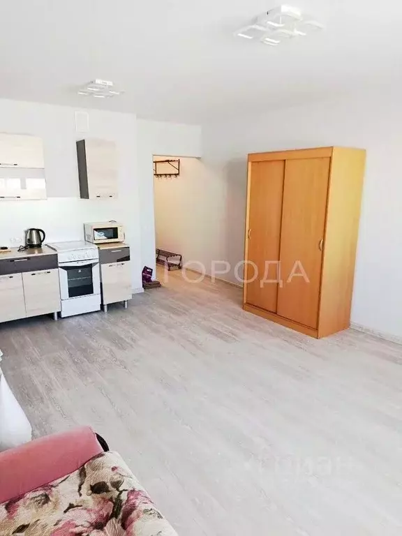 Студия Новосибирская область, Новосибирск ул. Татьяны Снежиной, 43 ... - Фото 2