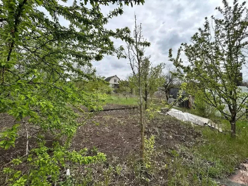 Участок в Белгородская область, Белгородский район, Комсомольское ... - Фото 1