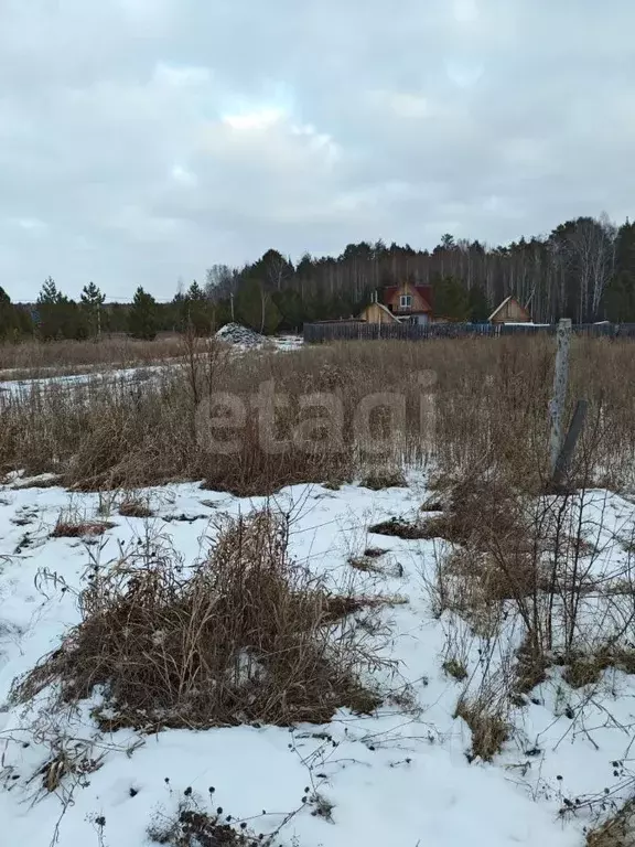 Участок в Свердловская область, Талица Цветочная ул. (12.5 сот.) - Фото 1