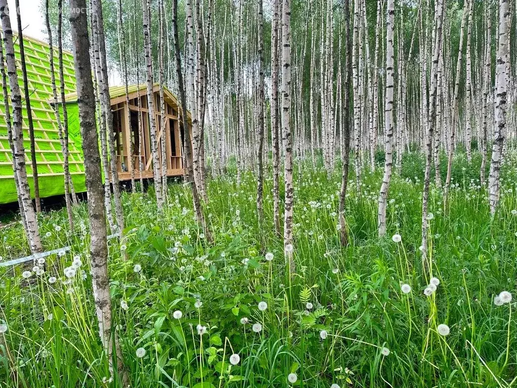 Участок в Дмитровский городской округ, деревня Афанасово-3 (8 м) - Фото 0