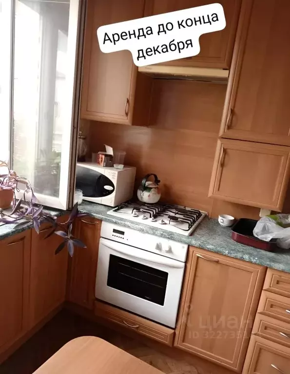 1-к кв. Калининградская область, Калининград Нарвская ул., 79 (38.0 м) - Фото 2