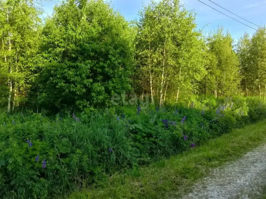 Участок в Московская область, Ступино городской округ, Заря СНТ 91 ... - Фото 0