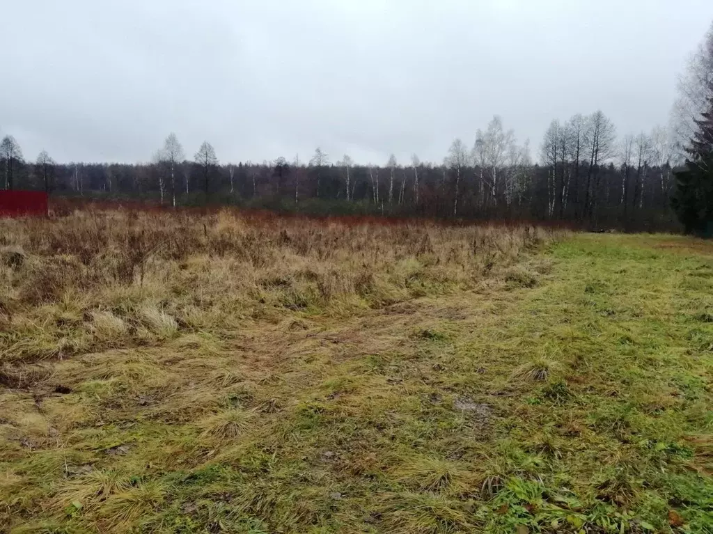 Участок в Тверская область, Конаковский муниципальный округ, д. ... - Фото 1