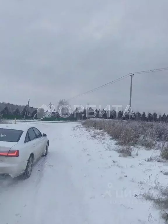 Участок в Тюменская область, Тюменский муниципальный округ, Каменское ... - Фото 2