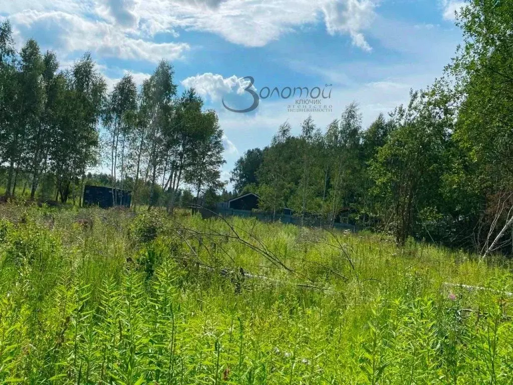 Участок в Нижегородская область, Нижний Новгород с. Елховка,  (10.0 ... - Фото 1